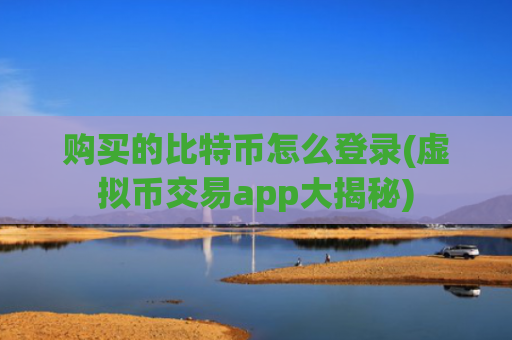 购买的比特币怎么登录(虚拟币交易app大揭秘)