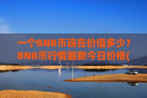 一个BNB币现在价值多少？BNB币行情最新今日价格(现价5206.48元)
