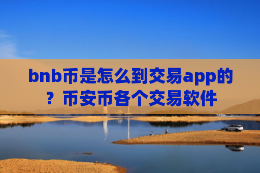 bnb币是怎么到交易app的？币安币各个交易软件