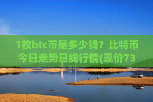 1枚btc币是多少钱？比特币今日走势日线行情(现价731161.86元)