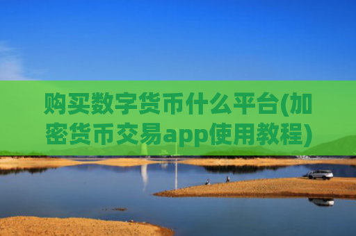 购买数字货币什么平台(加密货币交易app使用教程)