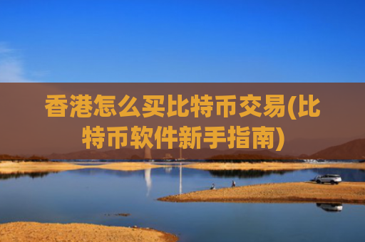 香港怎么买比特币交易(比特币软件新手指南)
