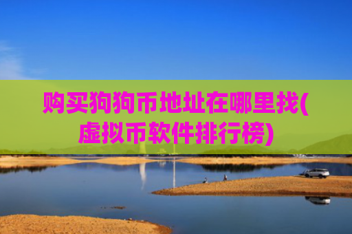 购买狗狗币地址在哪里找(虚拟币软件排行榜)
