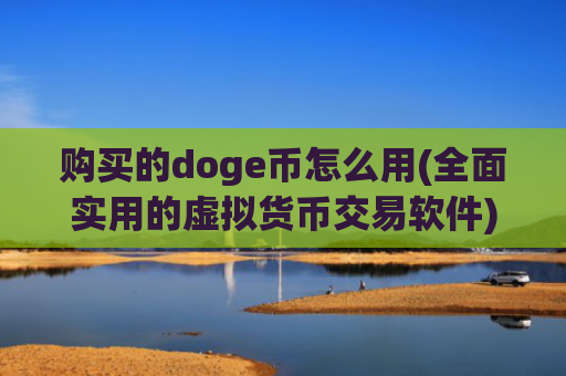 购买的doge币怎么用(全面实用的虚拟货币交易软件)