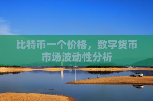 比特币一个价格，数字货币市场波动性分析