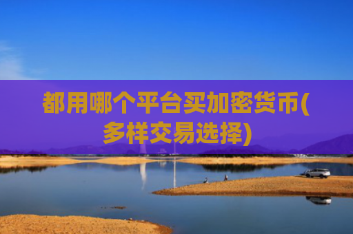 都用哪个平台买加密货币(多样交易选择)