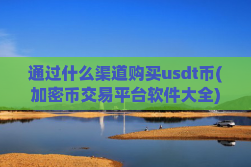通过什么渠道购买usdt币(加密币交易平台软件大全)