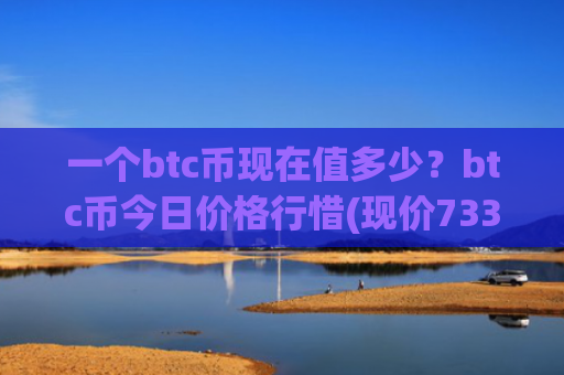 一个btc币现在值多少？btc币今日价格行惜(现价733372.05元)
