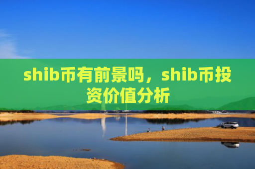 shib币有前景吗，shib币投资价值分析