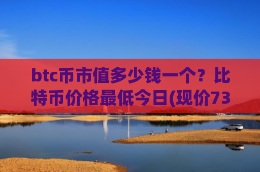 btc币市值多少钱一个？比特币价格最低今日(现价733965.63元)