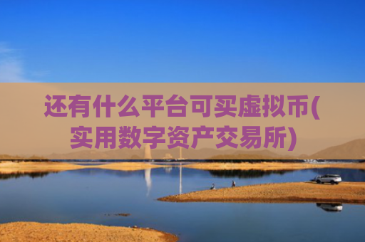 还有什么平台可买虚拟币(实用数字资产交易所)