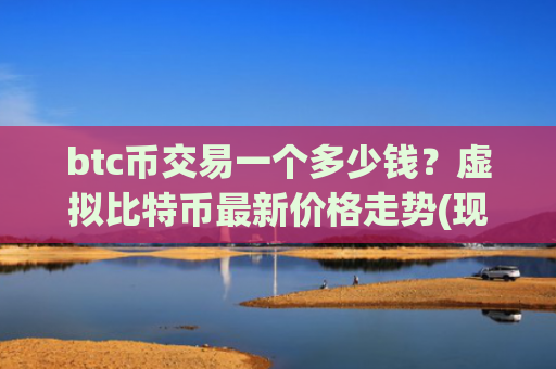 btc币交易一个多少钱？虚拟比特币最新价格走势(现价732677.37元)