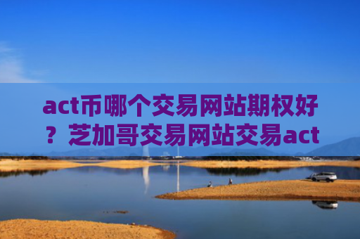 act币哪个交易网站期权好？芝加哥交易网站交易act币