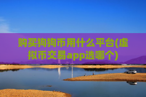 购买狗狗币用什么平台(虚拟币交易app选哪个)