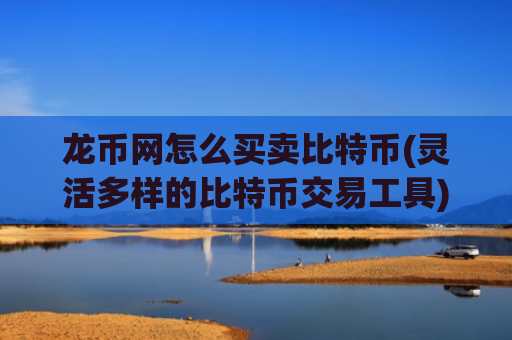 龙币网怎么买卖比特币(灵活多样的比特币交易工具)
