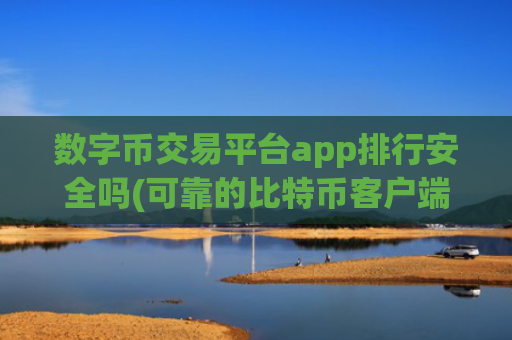 数字币交易平台app排行安全吗(可靠的比特币客户端下载)