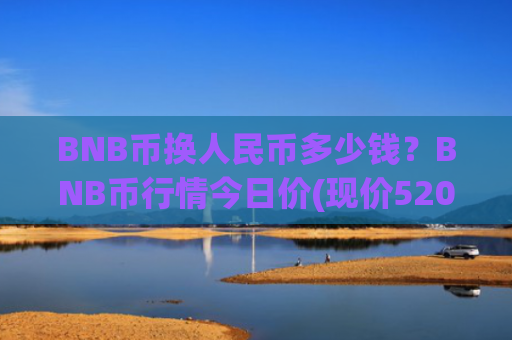 BNB币换人民币多少钱？BNB币行情今日价(现价5209.6元)