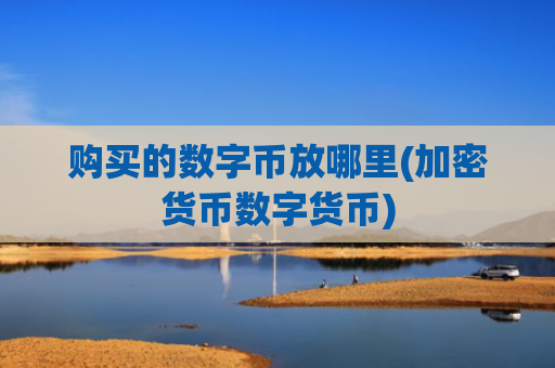 购买的数字币放哪里(加密货币数字货币)