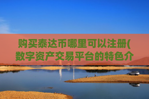 购买泰达币哪里可以注册(数字资产交易平台的特色介绍)