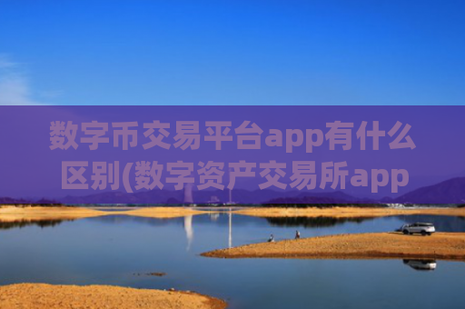 数字币交易平台app有什么区别(数字资产交易所app特色评测)