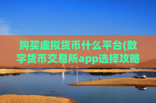 购买虚拟货币什么平台(数字货币交易所app选择攻略)