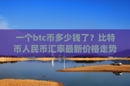 一个btc币多少钱了？比特币人民币汇率最新价格走势(现价730141.05元)