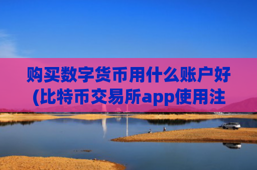 购买数字货币用什么账户好(比特币交易所app使用注意事项)