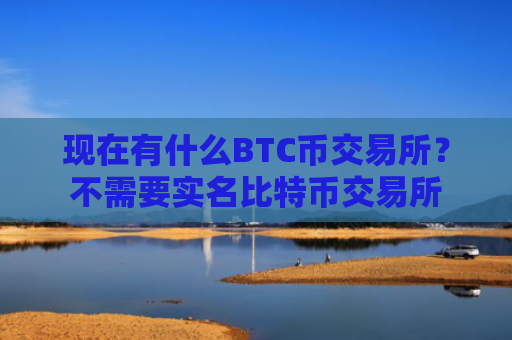 现在有什么BTC币交易所？不需要实名比特币交易所