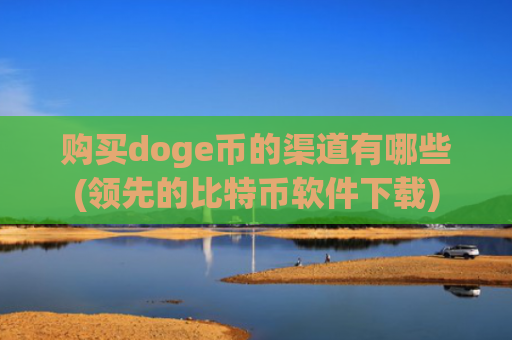 购买doge币的渠道有哪些(领先的比特币软件下载)
