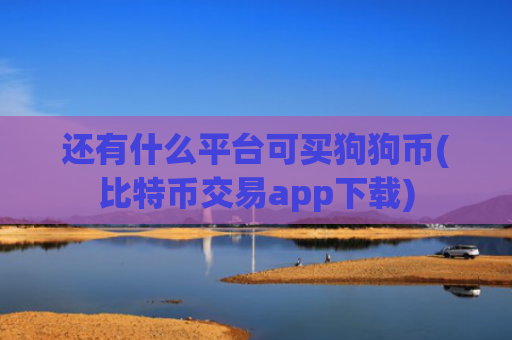 还有什么平台可买狗狗币(比特币交易app下载)