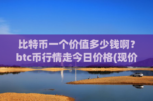 比特币一个价值多少钱啊？btc币行情走今日价格(现价730131.04元)