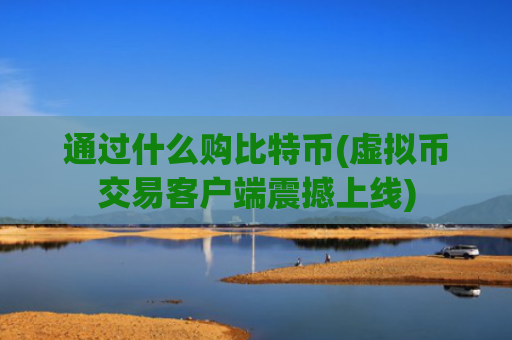 通过什么购比特币(虚拟币交易客户端震撼上线)