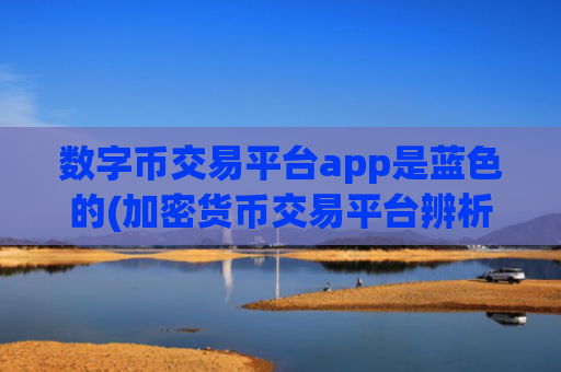 数字币交易平台app是蓝色的(加密货币交易平台辨析)