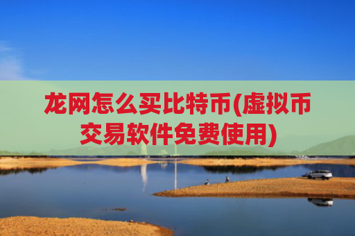 龙网怎么买比特币(虚拟币交易软件免费使用)