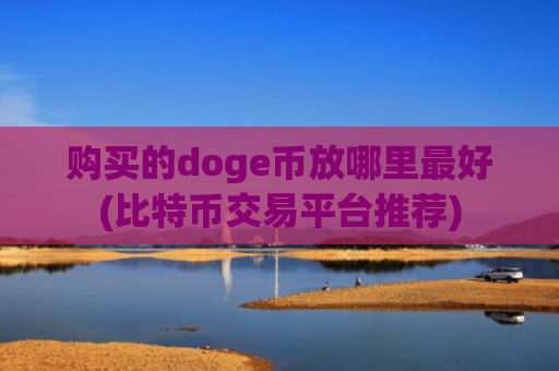购买的doge币放哪里最好(比特币交易平台推荐)