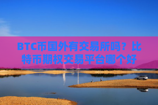 BTC币国外有交易所吗?比特币期权交易平台哪个好