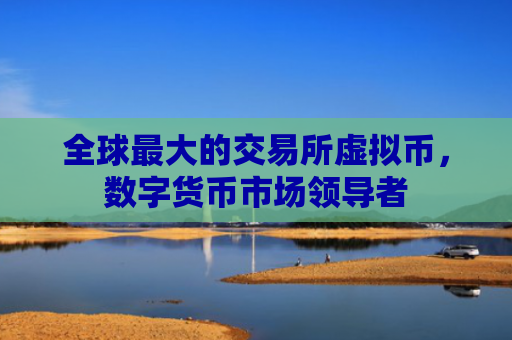 全球最大的交易所虚拟币，数字货币市场领导者