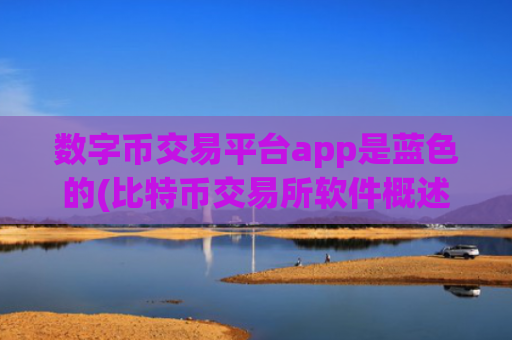数字币交易平台app是蓝色的(比特币交易所软件概述)