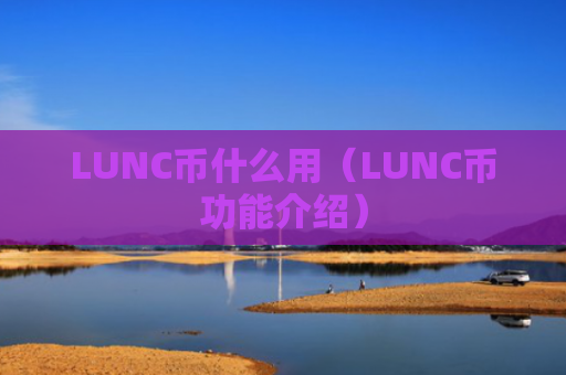 LUNC币什么用（LUNC币功能介绍）