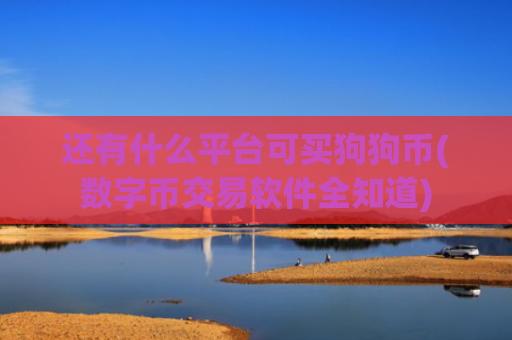 还有什么平台可买狗狗币(数字币交易软件全知道)