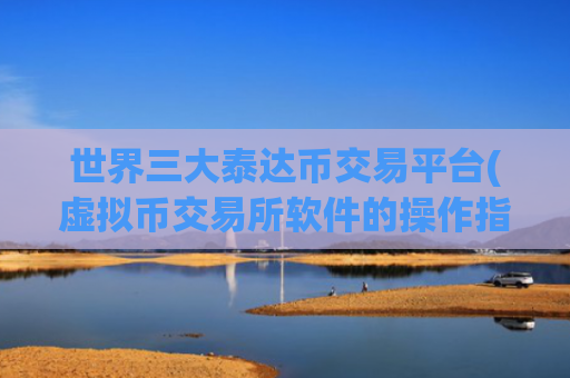 世界三大泰达币交易平台(虚拟币交易所软件的操作指南)