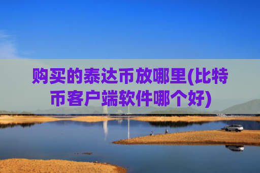 购买的泰达币放哪里(比特币客户端软件哪个好)