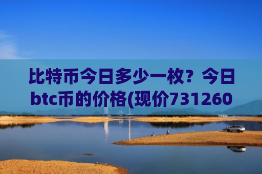 比特币今日多少一枚?今日btc币的价格(现价731260.56元)