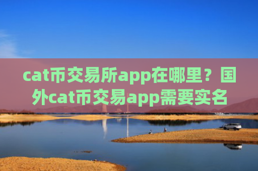cat币交易所app在哪里?国外cat币交易app需要实名吗