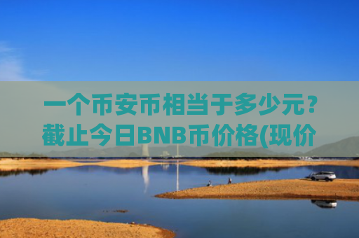 一个币安币相当于多少元?截止今日BNB币价格(现价5164.34元)