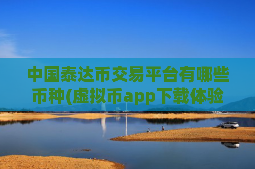 中国泰达币交易平台有哪些币种(虚拟币app下载体验)