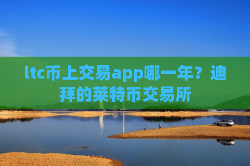 ltc币上交易app哪一年？迪拜的莱特币交易所