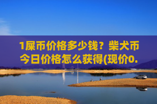 1屎币价格多少钱？柴犬币今日价格怎么获得(现价0.00019718元)