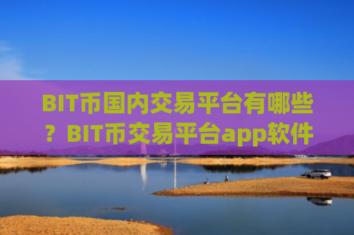 BIT币国内交易平台有哪些？BIT币交易平台app软件官网app