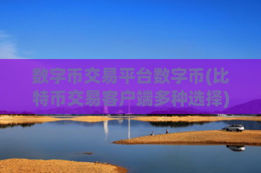 数字币交易平台数字币(比特币交易客户端多种选择)